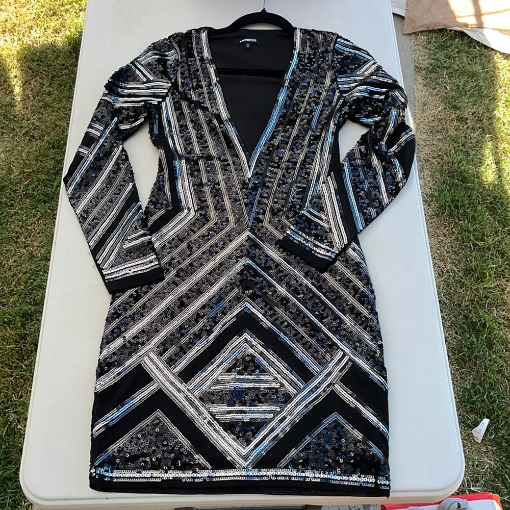 Express long sleeve party dress